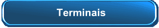 Terminais